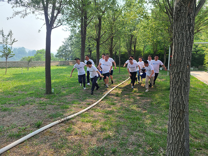 图片02 700px.jpg